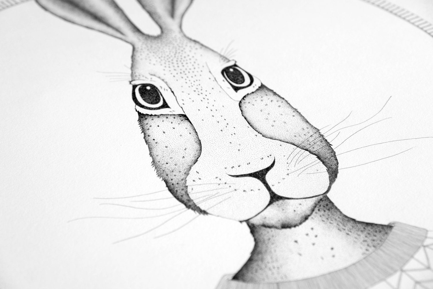Close detail of the hare's face, showing the density of the individual ink dots