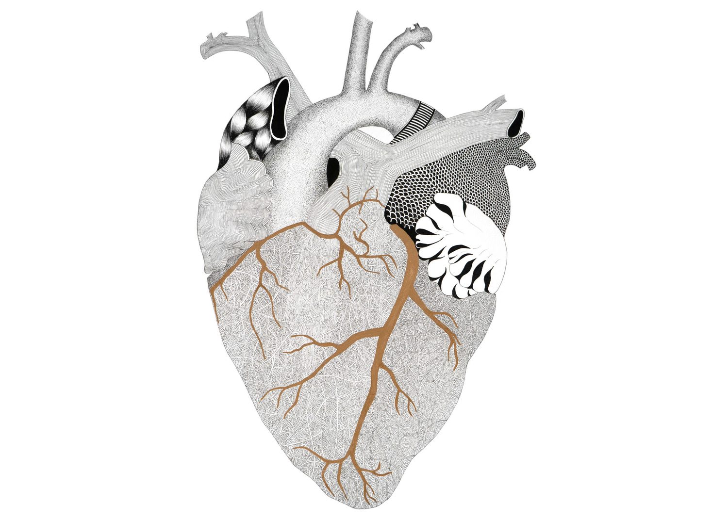 Anatomical heart in stippled ink, arteries picked out in copper, with patterned panels across the upper vessels