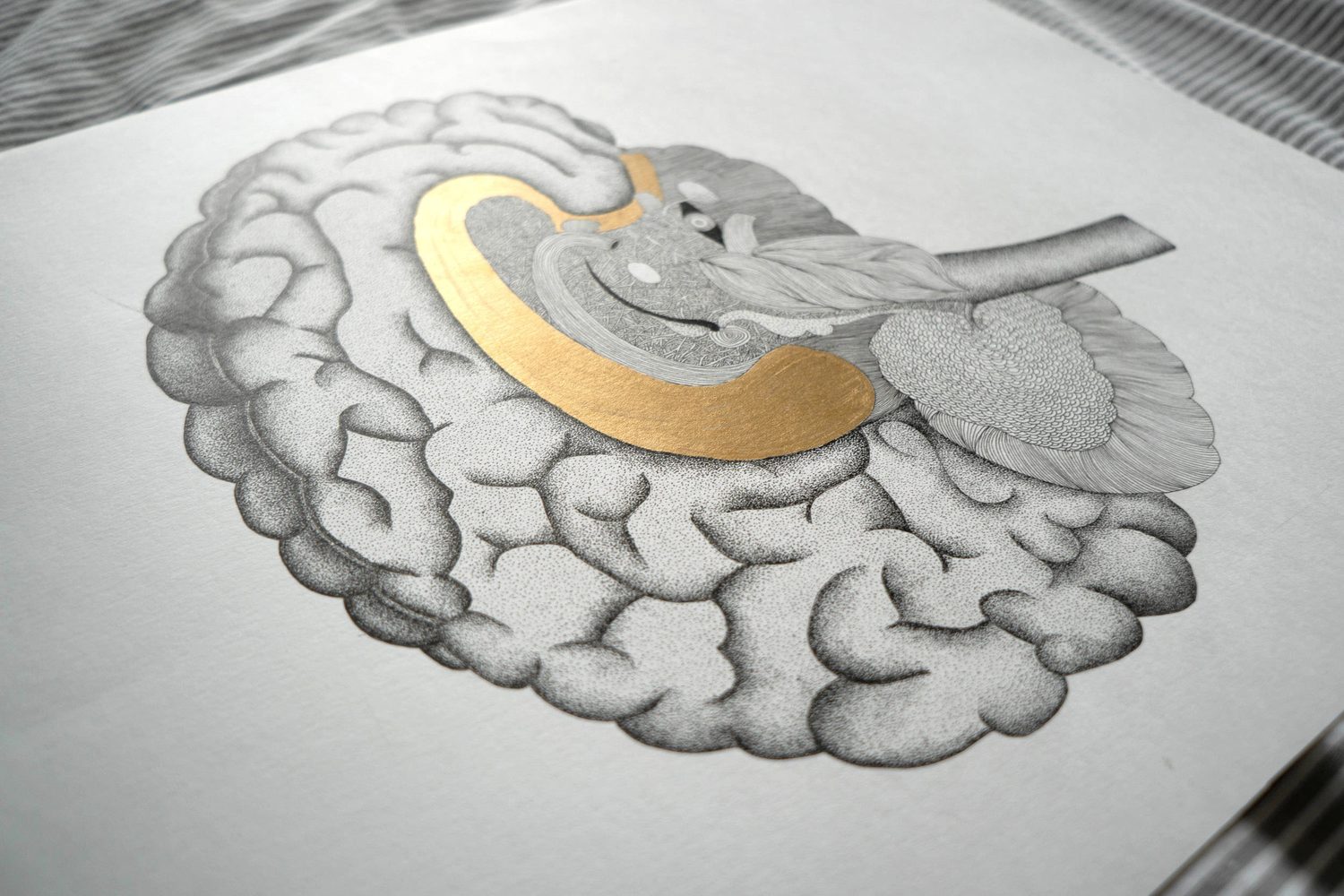 The brain drawing photographed at an angle, the copper passage catching the light