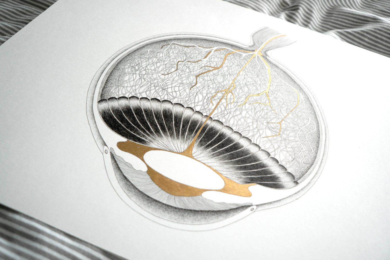The eye drawing photographed at an angle on the paper, raking light across the stippled surface