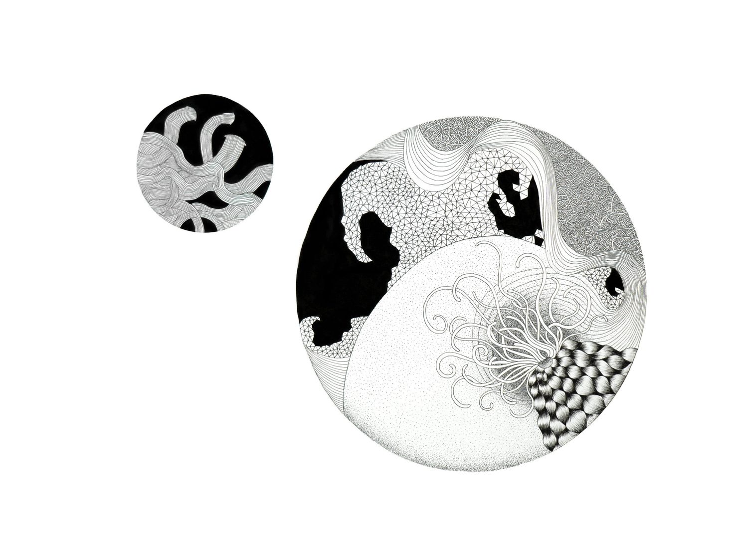 A large stippled circle with black organic fields, beside a smaller companion disc